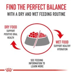 Royal Canin Feline Health Nutrition Digestive Care Dry Cat Food -Peticlean Shop 12136 1579120759