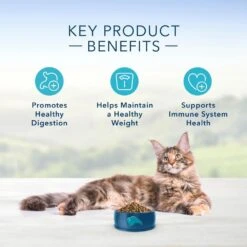 Blue Buffalo Indoor Health Natural Chicken & Brown Rice Adult Dry Cat Food -Peticlean Shop 29113 1555945911