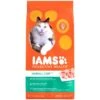 Iams ProActive Health Hairball Care Dry Cat Food -Peticlean Shop 29355 1498166708