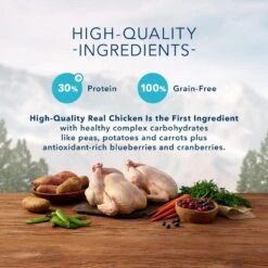 Blue Buffalo Wilderness Grain Free Chicken Recipe Dry Cat Food -Peticlean Shop 29491 1555950344