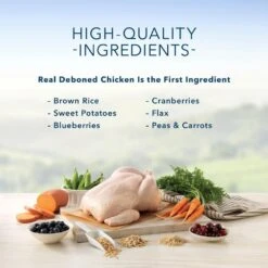 Blue Buffalo Sensitive Stomach Natural Chicken & Brown Rice Dry Cat Food -Peticlean Shop 30557 1555946968