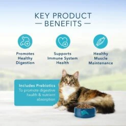 Blue Buffalo Sensitive Stomach Natural Chicken & Brown Rice Dry Cat Food -Peticlean Shop 30557 1555947008