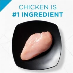 Purina Pro Plan Focus Weight Management Chicken & Rice Formula Dry Cat Food -Peticlean Shop 31526 1555704909