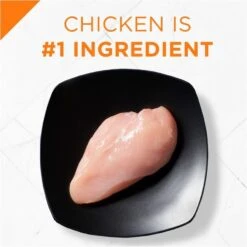 Purina Pro Plan Savor Chicken & Rice Formula Dry Cat Food -Peticlean Shop 31527 1555619374