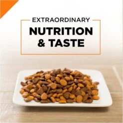 Purina Pro Plan Savor Chicken & Rice Formula Dry Cat Food -Peticlean Shop 31527 1555619395