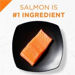 Purina Pro Plan Savor Adult Salmon & Rice Formula Dry Cat Food -Peticlean Shop 31529 1555619657