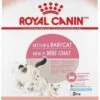 Royal Canin Mother And Babycat 34 Dry Cat Food 1 Royal Canin Mother And Babycat 34 Dry Cat Food -Peticlean Shop 31893 1489434470