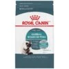 Royal Canin Indoor Intense Hairball Dry Cat Food -Peticlean Shop 31900 1505931199