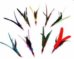 Go Cat Da Bird Feather Refill