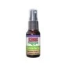 KONG Naturals Catnip Spray 2 KONG Naturals Catnip Spray -Peticlean Shop 38309 1568325040 8e322aaa 4744 4617 8c4a ff45e0ed8ba4
