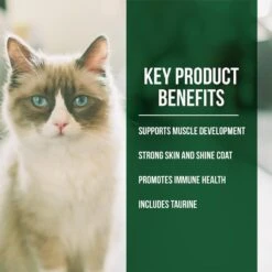 Fussie Cat Market Fresh Grain Free Salmon & Chicken Recipe Dry Cat Food -Peticlean Shop 39109 1576262529