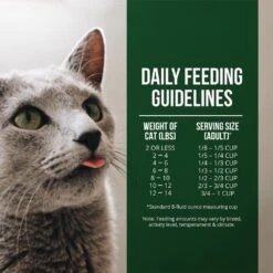 Fussie Cat Market Fresh Grain Free Salmon & Chicken Recipe Dry Cat Food -Peticlean Shop 39109 1576262582