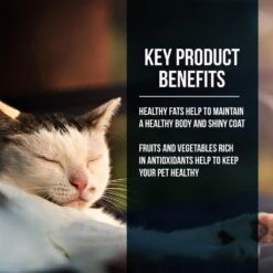 Fussie Cat Market Fresh Grain Free Salmon Recipe Dry Cat Food 13 Fussie Cat Market Fresh Grain Free Salmon Recipe Dry Cat Food -Peticlean Shop 39110 1576262935