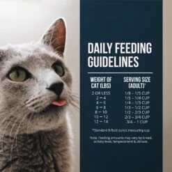 Fussie Cat Market Fresh Grain Free Salmon Recipe Dry Cat Food 19 Fussie Cat Market Fresh Grain Free Salmon Recipe Dry Cat Food -Peticlean Shop 39110 1576510817