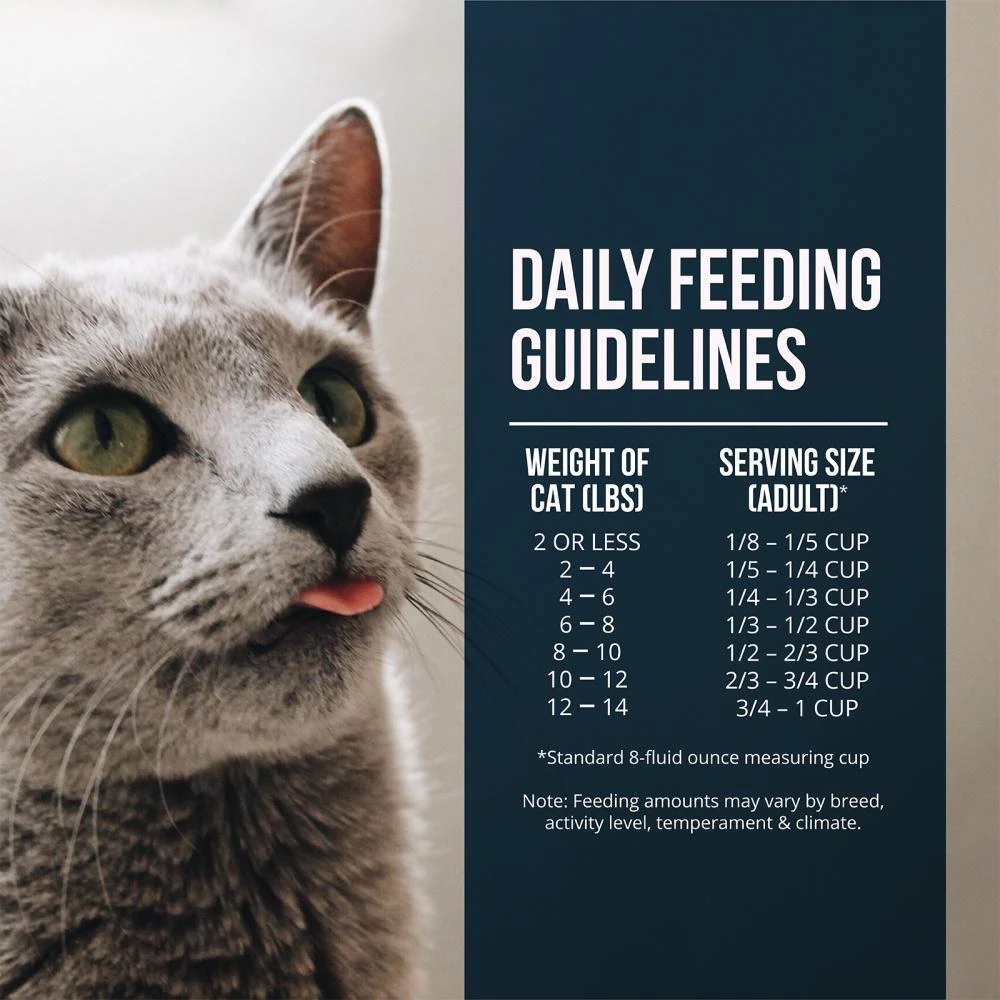 Fussie Cat Market Fresh Grain Free Salmon Recipe Dry Cat Food 11 Fussie Cat Market Fresh Grain Free Salmon Recipe Dry Cat Food - Image 9