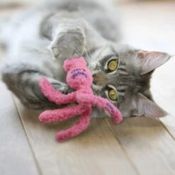 KONG Wubba Hugga Cat Toy -Peticlean Shop 40970 1568308672