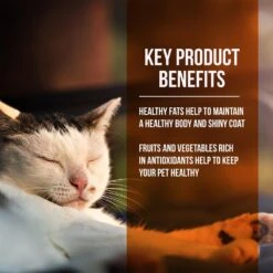 Fussie Cat Market Fresh Grain Free Guinea Fowl & Turkey Meal Recipe Dry Cat Food -Peticlean Shop 43124 1576260512