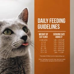 Fussie Cat Market Fresh Grain Free Guinea Fowl & Turkey Meal Recipe Dry Cat Food -Peticlean Shop 43124 1576260594