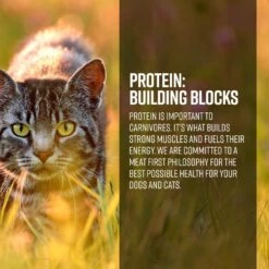 Essence Grain Free Ocean & Freshwater Recipe Dry Cat Food -Peticlean Shop 43325 1576254806