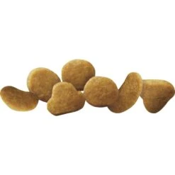 Purina Pro Plan Focus Chicken & Rice Formula Kitten Dry Cat Food -Peticlean Shop 43541 1570135622