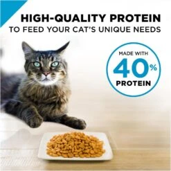Purina Pro Plan Focus Hairball Management Chicken & Rice Formula Adult Dry Cat Food -Peticlean Shop 43544 1570135315