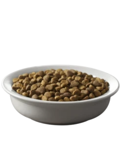 Purina Pro Plan Savor Salmon & Rice Formula Adult Dry Cat Food -Peticlean Shop 43558 1564170181