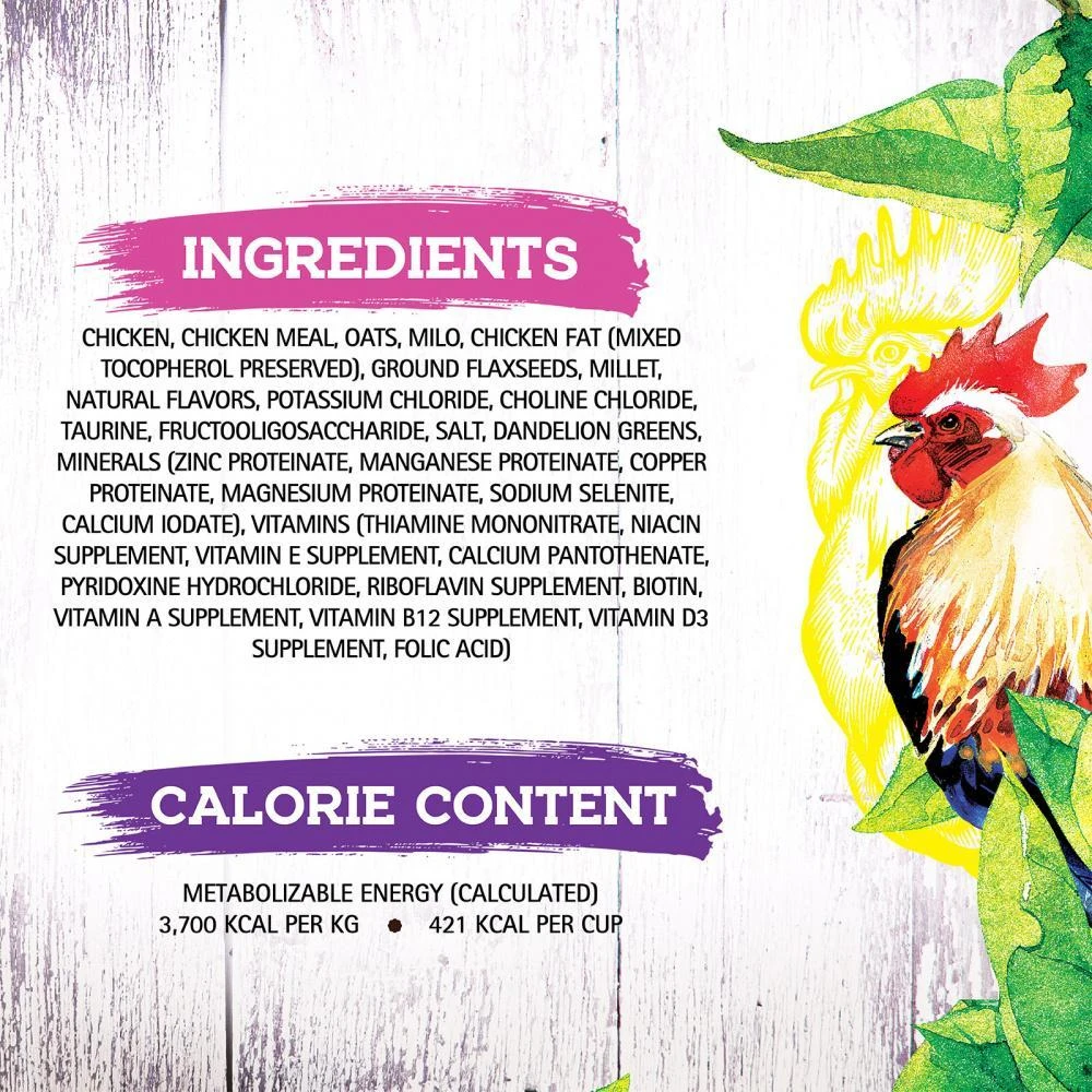 Inception Chicken Recipe Dry Cat Food 6 Inception Chicken Recipe Dry Cat Food - Image 4