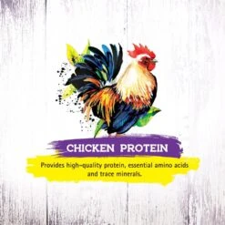 Inception Chicken Recipe Dry Cat Food 13 Inception Chicken Recipe Dry Cat Food -Peticlean Shop 43879 1576778535
