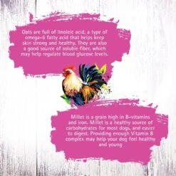 Inception Chicken Recipe Dry Cat Food 14 Inception Chicken Recipe Dry Cat Food -Peticlean Shop 43879 1576778575