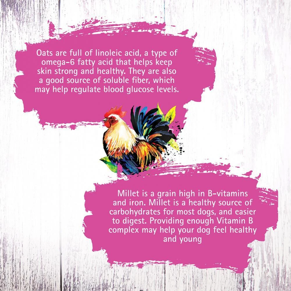 Inception Chicken Recipe Dry Cat Food 8 Inception Chicken Recipe Dry Cat Food - Image 6