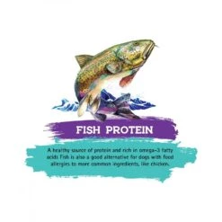 Inception Fish Recipe Dry Cat Food 11 Inception Fish Recipe Dry Cat Food -Peticlean Shop 43880 1576779813
