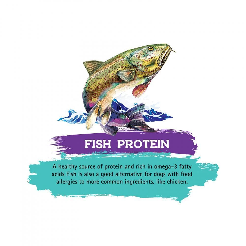 Inception Fish Recipe Dry Cat Food 6 Inception Fish Recipe Dry Cat Food - Image 4