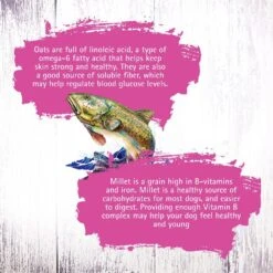 Inception Fish Recipe Dry Cat Food 12 Inception Fish Recipe Dry Cat Food -Peticlean Shop 43880 1576779831