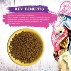 Inception Turkey & Herring Meal Recipe Dry Cat Food -Peticlean Shop 43881 1576783799