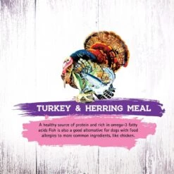 Inception Turkey & Herring Meal Recipe Dry Cat Food -Peticlean Shop 43881 1576783831