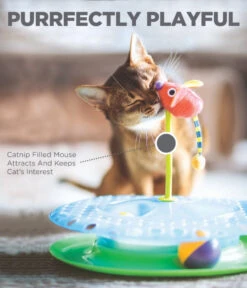 Petstages Cheese Chase -Peticlean Shop 736 petstages cheesechaseii pdp4