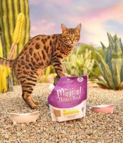 Stella & Chewy's Marie’s Magical Dinner Dust Cage-Free Chicken 7 Stella & Chewy's Marie’s Magical Dinner Dust Cage-Free Chicken -Peticlean Shop A786E45B 96A7 4B9D A499 9AD439A196FF scaled 1080x0 c default