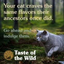Taste Of The Wild Lowland Creek Feline Recipe With Roasted Quail & Roasted Duck -Peticlean Shop Lifestyle Cat