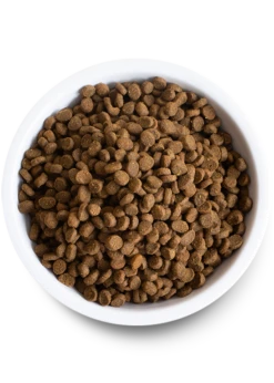 Open Farm Pasture-Raised Lamb Dry Cat Food 5 Open Farm Pasture-Raised Lamb Dry Cat Food -Peticlean Shop PDP Cat LAMB 02 Bowl 548x768 crop center 7b4af7e1 c59e 4fc8 bfc0 093c75e34636