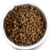 Open Wild-Caught Salmon Dry Cat Food 2 Open Wild-Caught Salmon Dry Cat Food -Peticlean Shop PDP Cat SALMON 02 Bowl 548x768 crop center 7390be29 b4b0 4f7e a633 4365a84690d1
