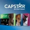 Capstar For Dogs & Cats -Peticlean Shop capstar product img1a