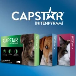 Capstar For Dogs & Cats