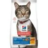 Hill's Pet Nutrition, Inc Hill's® Science Diet® Adult Oral Care Cat Food -Peticlean Shop ezgif 2 bc8d34045758