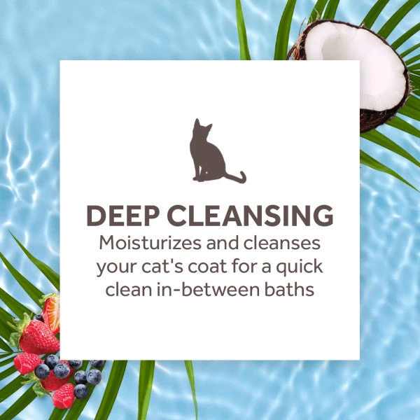 TropiClean Deep Cleansing Waterless Cat Shampoo 6 TropiClean Deep Cleansing Waterless Cat Shampoo - Image 4