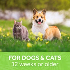 TropiClean Papaya Mist Deodorizing Spray For Pets -Peticlean Shop lznladd5x1lwob76okhv a1c95572 0f35 49f6 8191 5d6eb694a104