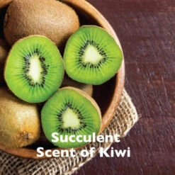 SPA By TropiClean Lavish Comfort Shampoo For Pets 13 SPA By TropiClean Lavish Comfort Shampoo For Pets -Peticlean Shop mmicyijkz5rcutc56vte