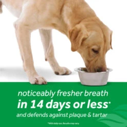 TropiClean Fresh Breath Dental Health Solution Supports Skin Health For Dogs 17 TropiClean Fresh Breath Dental Health Solution Supports Skin Health For Dogs -Peticlean Shop nczycxzncp6prv0b1dfo 60b6c2dd d1ef 4547 9a6c ff8fce9f1b8a