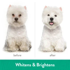 TropiClean Awapuhi & Coconut Whitening Shampoo For Pets -Peticlean Shop nfhxo9apsekj5oysiqdx