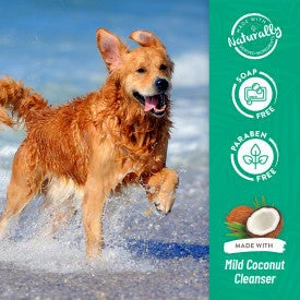 TropiClean Berry & Coconut Deep Cleansing Shampoo For Pets 6 TropiClean Berry & Coconut Deep Cleansing Shampoo For Pets - Image 4