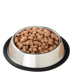 Primal Pet Foods Feline Raw Frozen Pronto -Peticlean Shop pronto bowl 575x575 d8074573 86a6 4b0b b0ca 51644e155e25